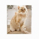 Diane - @Diane_sue_ - Twitter