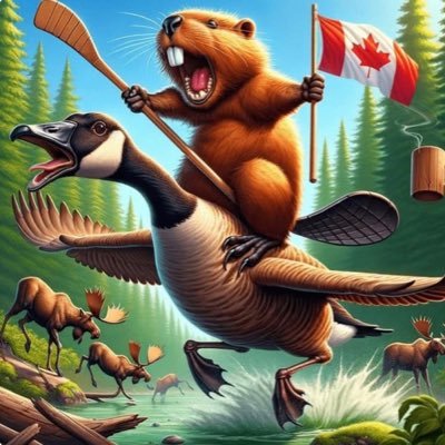 Lily44716877's profile picture. Proud Canadian Forever. Disgusted with traitors wanting to join the US. Don’t care if I’m still a bunch of numbers, so what. 🚫DMs.