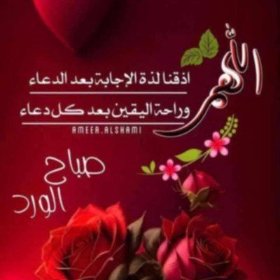 mody1216155614's profile picture. $RVV
@CNPYNetwork