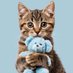 cats to cure your sadness (@cats2curesadnes) Twitter profile photo cats to cure your sadness (@cats2curesadnes) Twitter profile photo