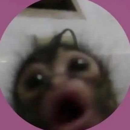 Scrompy_le's profile picture. 