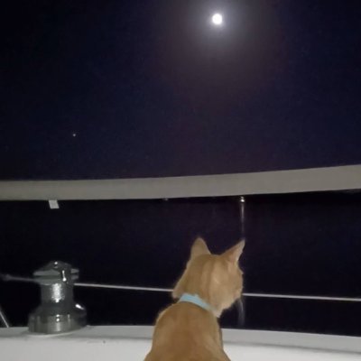 Cosmokramer Profile