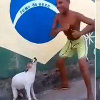 Brazilian Version (@brazilianvz) 's Twitter Profile Photo Brazilian Version (@brazilianvz) 's Twitter Profile Photo