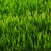 demo1234 (@demo74755206) Twitter profile photo demo1234 (@demo74755206) Twitter profile photo