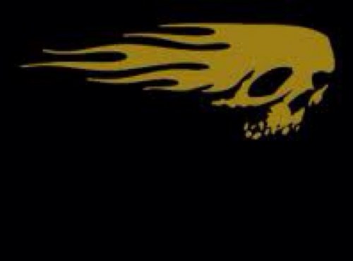 bangbangalow's profile picture. 