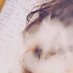 🎀 (@prettyassaries0) Twitter profile photo 🎀 (@prettyassaries0) Twitter profile photo