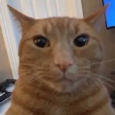 Niicolun's profile picture. 