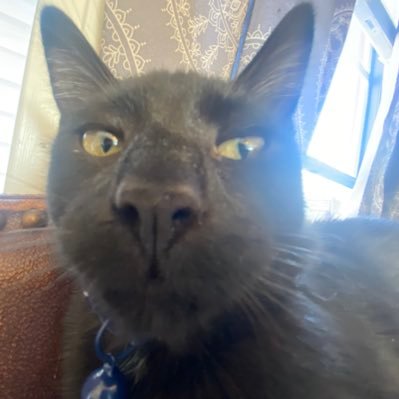 XDemonicKarmaX's profile picture. XDemonicKarmaX