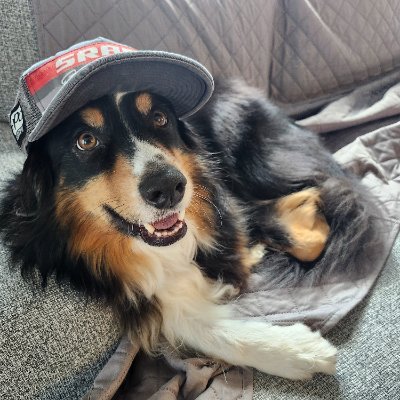 CaptainBruno20's profile picture. Retired from e-comm. Adrenaline junkie, & running addict. Proud dad and husband. Stock market enthusiast.