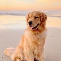 clp secundária (@clpftnn) 's Twitter Profile