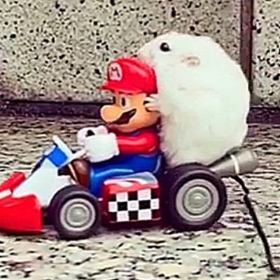 🐹ミニチュア(カプセルトイ)が好きな人もお勧めよ。グッズも販売中です【ブランド名:Ham Superstar】海外の人にも人気中🇺🇸🇬🇧🇨🇦🌏。2020.9/3(Twitter)始めました