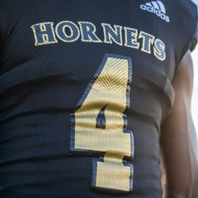 Trenden Collins Profile