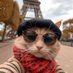 Suzie Faghetti (@faghettisu62888) Twitter profile photo Suzie Faghetti (@faghettisu62888) Twitter profile photo