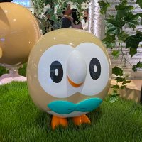 ポケカ垢ヨシ (@yoshipoke10) 's Twitter Profile