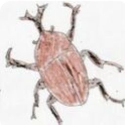 kabutomushimama's profile picture. 著書名「ママ、パートになってくれてありがとう」: 総合職からパートへキャリアチェンジした私が何を考え、今どう思うか
https://t.co/9iHVnqxCcy
はてなブログもやってます♪
※Amazonアソシエイトにて収益を得ています。