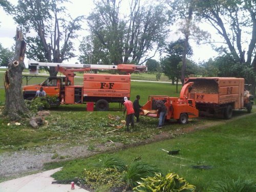 fandftrees's profile picture. Founded 2002, and now setting the pace in the industry. Let us help you maintain beautiful, healthy trees and shrubs. We give trees nice cuts!