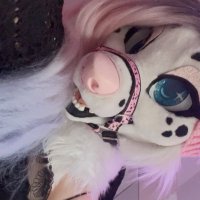 ๐ธ Puppy Princess ๐ธ (@eviedalmatian) 's Twitter Profile