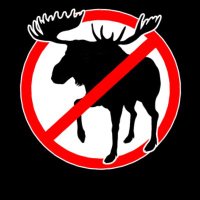 AnOnOmOoSe (@anonomoossee) 's Twitter Profile