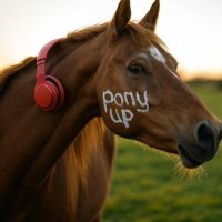 Ponyup_sallaD (@derdey_mane) 's Twitter Profile
