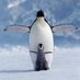 ãããºã (@penguin_goo) Twitter profile photo ãããºã (@penguin_goo) Twitter profile photo