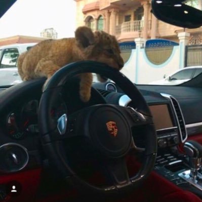 sales ops expert, ill make you more money without getting you more leads, #d1 money maker