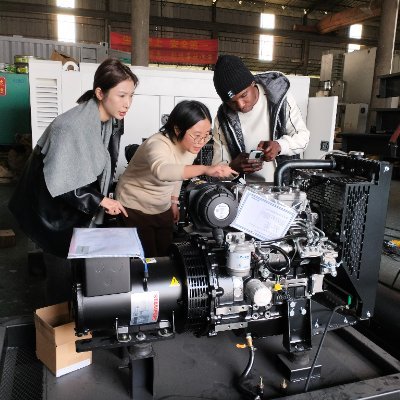 Chinese Diesel Generator, Diesel Generator Set
Foshan Ritech Power Technology Co., Ltd.