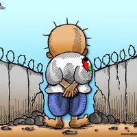 Derek Rose | 🇵🇸 🇺🇦 (@derekmartinrose) 's Twitter Profile