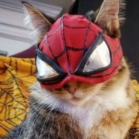 Redox_NFT (@redoxnft31336) 's Twitter Profile