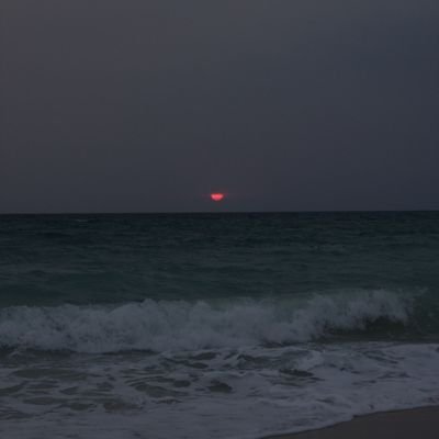 omidrs_tg's profile picture. 