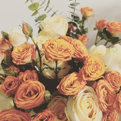 mongol_duu's profile picture. Дагасан бүхнийг дагана❤️