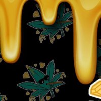 CGEXOTICS (@cgexotics) 's Twitter Profile