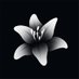 Mister Lily (@misterlily_art) Twitter profile photo Mister Lily (@misterlily_art) Twitter profile photo