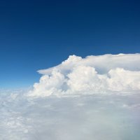 NOTRD事務局 (@notrd_eo) 's Twitter Profile