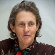 Temple Grandin Profile