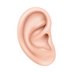 Matt Randazzos left ear (@randazzosears) Twitter profile photo Matt Randazzos left ear (@randazzosears) Twitter profile photo