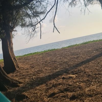 meeTee8699's profile picture. นครปฐม สส.182 นน.88
ชอบผู้หญิง และ สาวใหญ่
หาคู่ หาแฟน หาเพื่อน