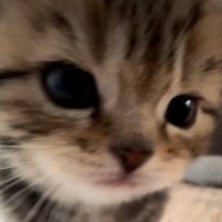 M ͡ . •. •. ͡ K 🍏 (@mmy120230) 's Twitter Profile