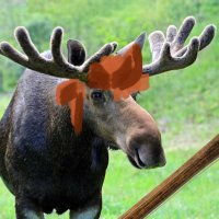 🔥 Moose 🔥 (@tired_of_retail) 's Twitter Profile Photo 🔥 Moose 🔥 (@tired_of_retail) 's Twitter Profile Photo