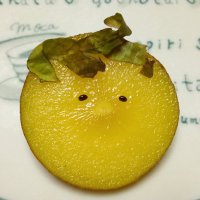 taniguchi (@tani_chorus) Twitter profile photo