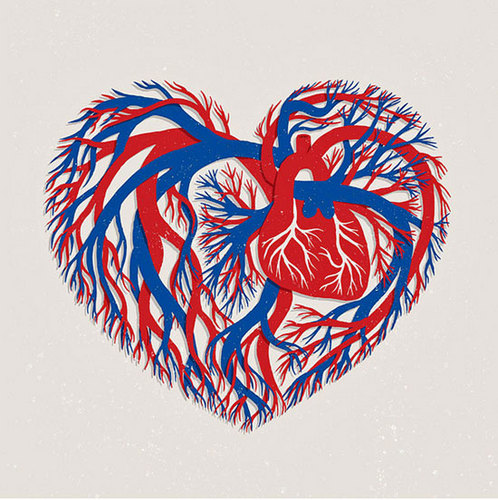 AnatomyAnnotati's profile picture. I have a lot of plans for my health care career, for now I am a previous pre-med student turned EMT. I love science and I love people.