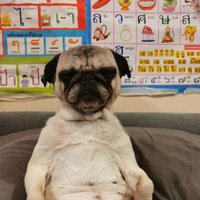 แอดหลุมเอาว่าเสือก! (@serviceqhot) 's Twitter Profile