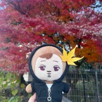 hi ho (@irdyfs) 's Twitter Profile