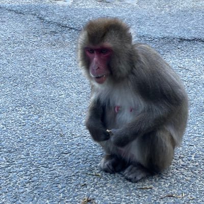 これからハウスクリーニング開業を目指す33歳男です。 情報収集、情報交換させていただきたいです。 よろしくお願いします!