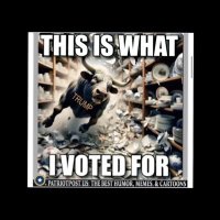 ERADICATE DEEP STATE (@jodyjeffers11) 's Twitter Profile