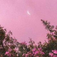 sid (@sidxtt) 's Twitter Profile