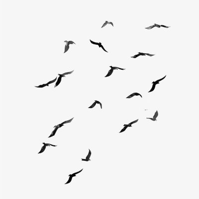 Dalysmiri's profile picture. 