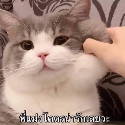 ตามเท่าที่ไหว ซื้อเท่าที่อยากซื้อ กระดาษกินไม่ได้แต่ของมันต้องมี