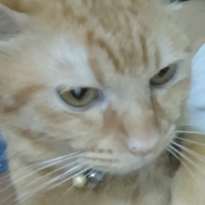 Loves reading, research, listening to soft music, updating computer skills, website and web applications development, and other activities for self growth.