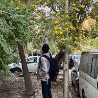 joey (@_youssefseddik) 's Twitter Profile Photo joey (@_youssefseddik) 's Twitter Profile Photo