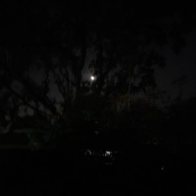 DemonTopzz's profile picture. 